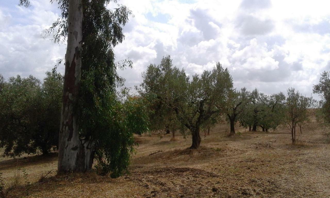 Poderi Di *