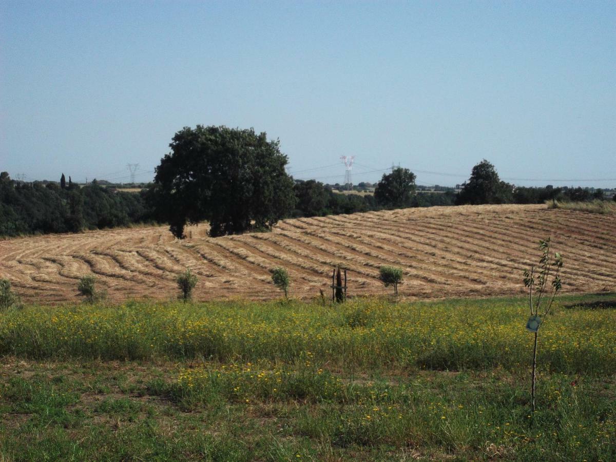 Apartment Poderi Di Tragliatella